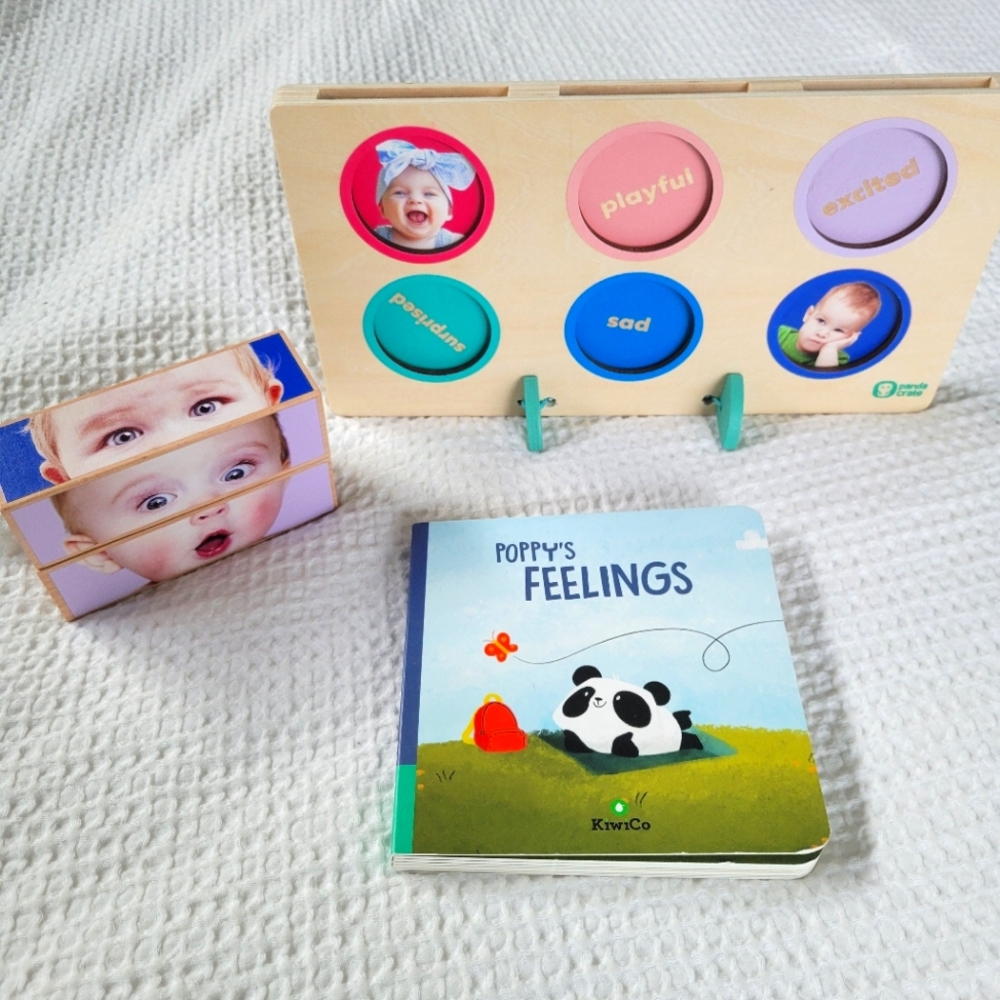 Panda Crate by Kiwi Co. Poppy's Feelings